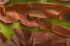 Washington-Seabeck Peeling madrone tree bark Art Print